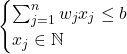 \begin{cases}\sum_{j=1}^n w_j x_j \leq b \\x_j \in \mathbb{N}\end{cases}